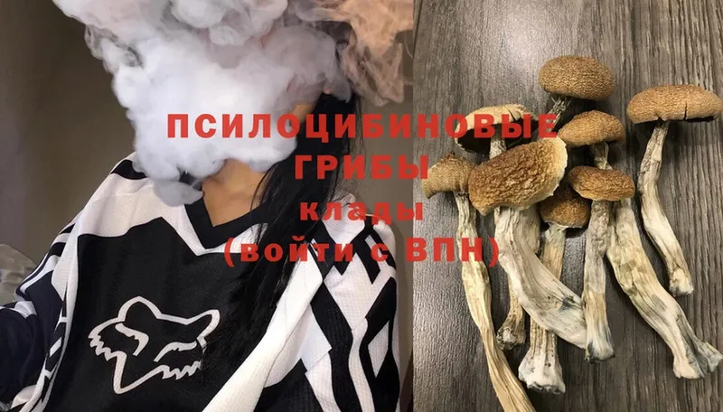 Галлюциногенные грибы MAGIC MUSHROOMS  Кудрово 