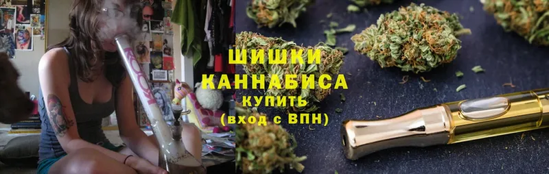 как найти закладки  Кудрово  Шишки марихуана Amnesia 